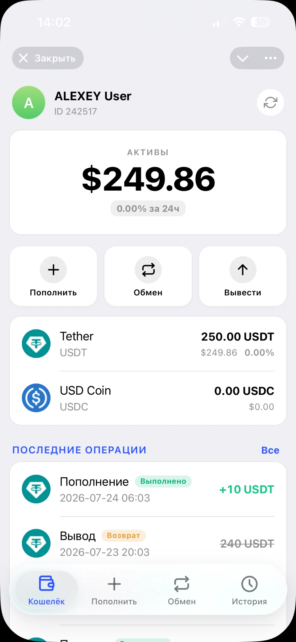PocketBank wallet screen in Telegram